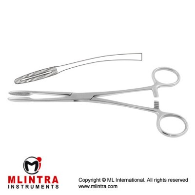 Gross-Maier Dressing Forcep Curved - With Ratchet Stainless Steel, 21.5 cm - 8 1/2"